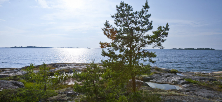 Kuuskajaskari on saari Rauman edustalla. Kuva Rauman kaupunki. Kuuskajaskari on saari Rauman edustalla. Kuva Rauman kaupunki.